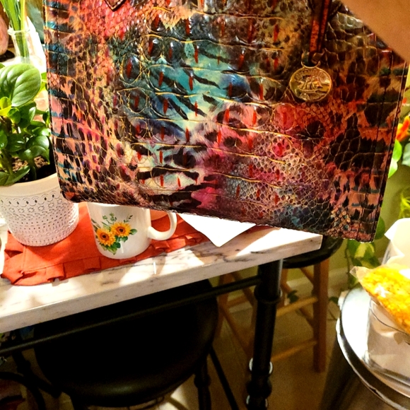 Brahmin Carolina n Shapeshifter NWT HELLO!!! PRICE IS 115 OFF  RETAIL ☆☆☆ - Picture 10 of 16